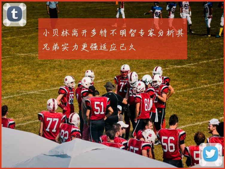 小贝林离开多特不明智专家分析其兄弟实力更强适应已久