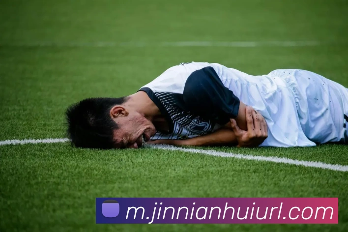 今年会官网APP 封面图